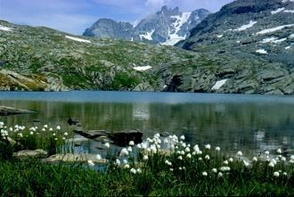 В парке произрастает более тысячи видов 