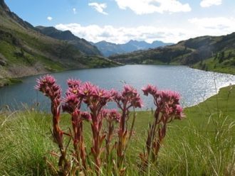 Вся территория парка разделена на три зо