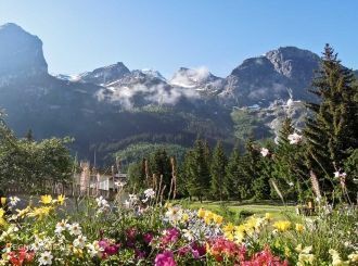 Для парка характерны четыре ландшафтные 