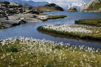 Такой природный парк Арморик был организ