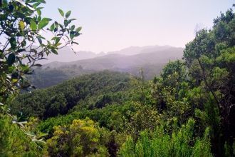 Ландшафт национального парка Гарахонай.