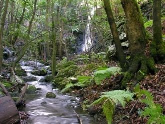 В национальном парке Гараханай существуе