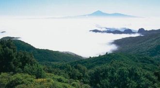 Национальный парк Гарахонай.