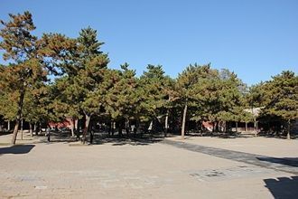 Первый двор Главного Дворца.