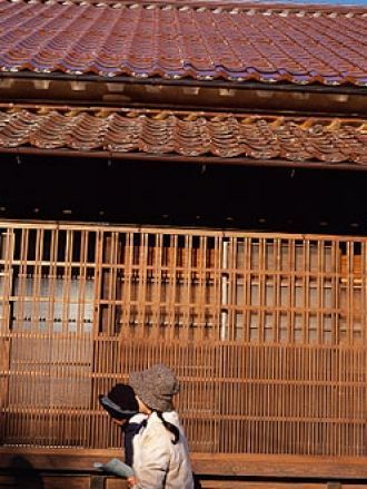 Оконные решетки ояко-госи, богато украша