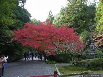 Кумирня Хиёси: Спускаясь с Энряку-дзи.