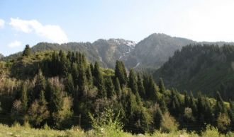 Общая площадь парка - 199 703 га.