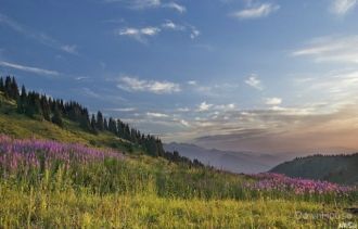 В национальном парке представлены 15 при