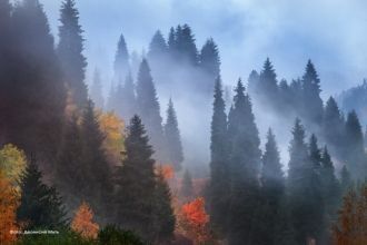 На территории национального парка Иле-Ал