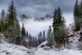 47 видов млекопитающих, 148 видов птиц, 