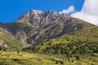 Удивительных по красоте растений в запов