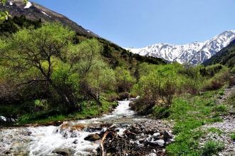 В заповеднике зарегистрировано 1312 цвет