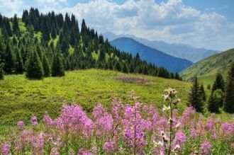 Заповедник создан в 1926 году, площадь е