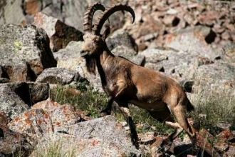 Естественно, самые заметные известные об