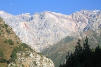 Разнообразию природных условий заповедни