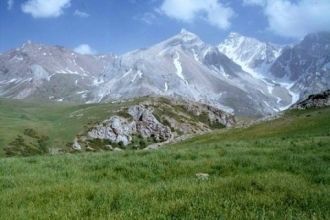 Наиболее оригинальными и составляющими «