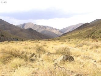 Заповедник организован согласно постанов