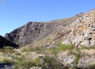 Заповедник имеет ранг юридического лица 