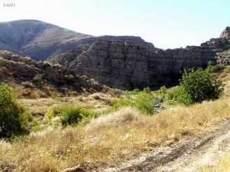 Граничит с пустынями Муюнкум, Кызылкум, 