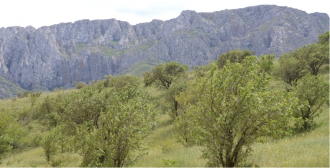 Короткое обоснование необходимости запов