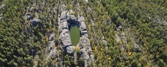 Флора высших растений заповедника, по зн