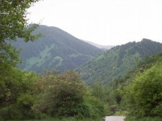 Микроклимат территории континентальный, 