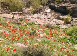 Территория заповедника занимает южный ск