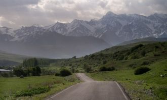 Здесь сосредоточено большое разнообразие
