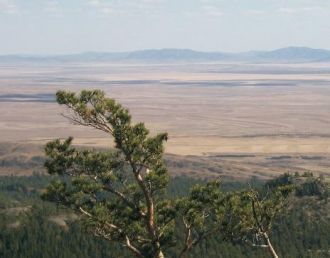 Здесь обитают редкие виды птиц, находящи