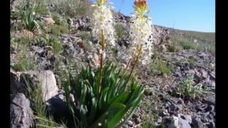 Территория национального парка будет вкл