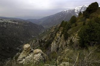 Представленные экосистемы – пояс высокоз