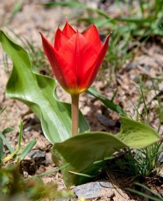 Западная граница проходит по склонам и п