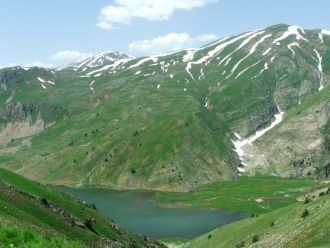 Хорошо выражены субнивальный и нивальный