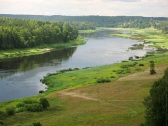 При создании парк остановили строительст