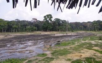 Территория парка занимает часть префекту