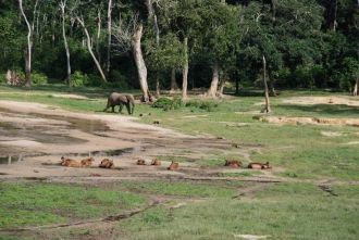 Влажные поймы северной части парка полны