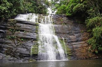 99% территории парка никогда не использо