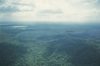 Именно благодаря отсутствию сообщения пр