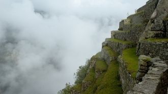Биологическое разнообразие, богатство ви