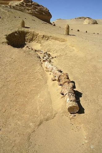 Сейчас ландшафт охраняется, но образцы с