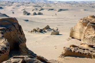 Этот период на ярком примере окаменелост