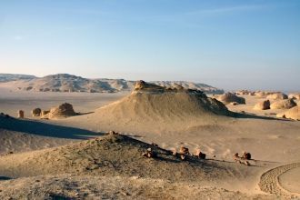 Эта находка дала толчок дальнейшим иссле