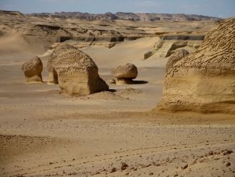Исследования в губернаторстве Файюм нача