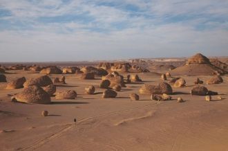 Зимой 1902-1903 гг. были впервые обнаруж