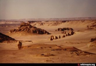 В свое время киты обитали на суше.