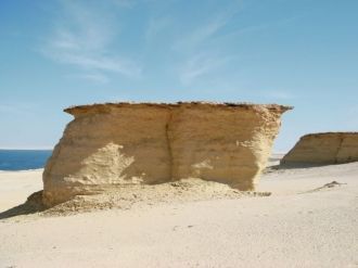 Самый крупный скелет кита, обнаруженный 