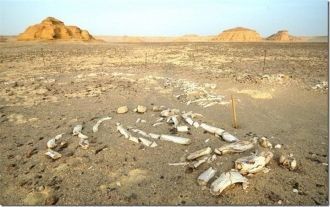 Расстояние до столицы государства 150 км