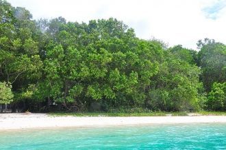 Национальный парк Уджунг Кулон