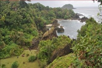   Очаровантельные пляжи и тропическ