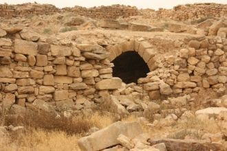 Археологам удалось раскопать останки 16 